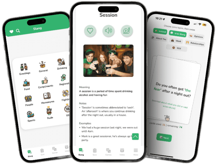 Irish Slang app on iPhone